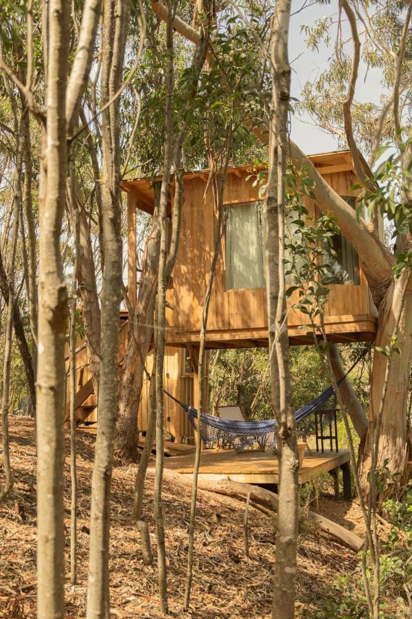 Soul Farm Algarve - Glamping & Farm Houses Aljezur Eksteriør bilde