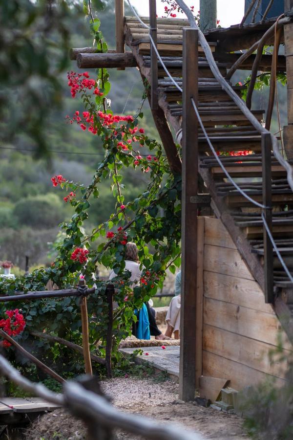 Soul Farm Algarve - Glamping & Farm Houses Aljezur Eksteriør bilde