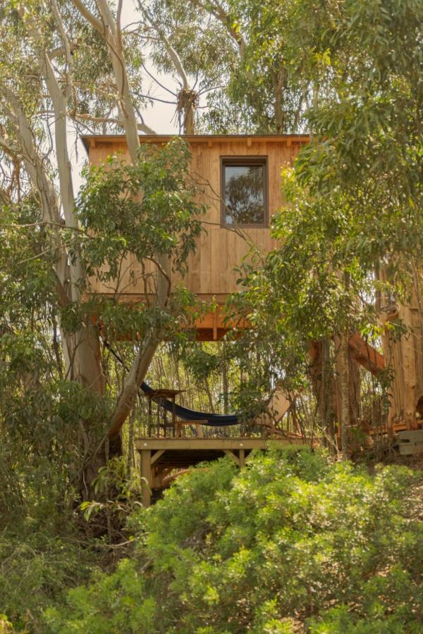 Soul Farm Algarve - Glamping & Farm Houses Aljezur Eksteriør bilde