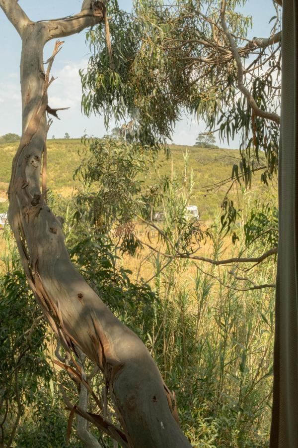 Soul Farm Algarve - Glamping & Farm Houses Aljezur Eksteriør bilde