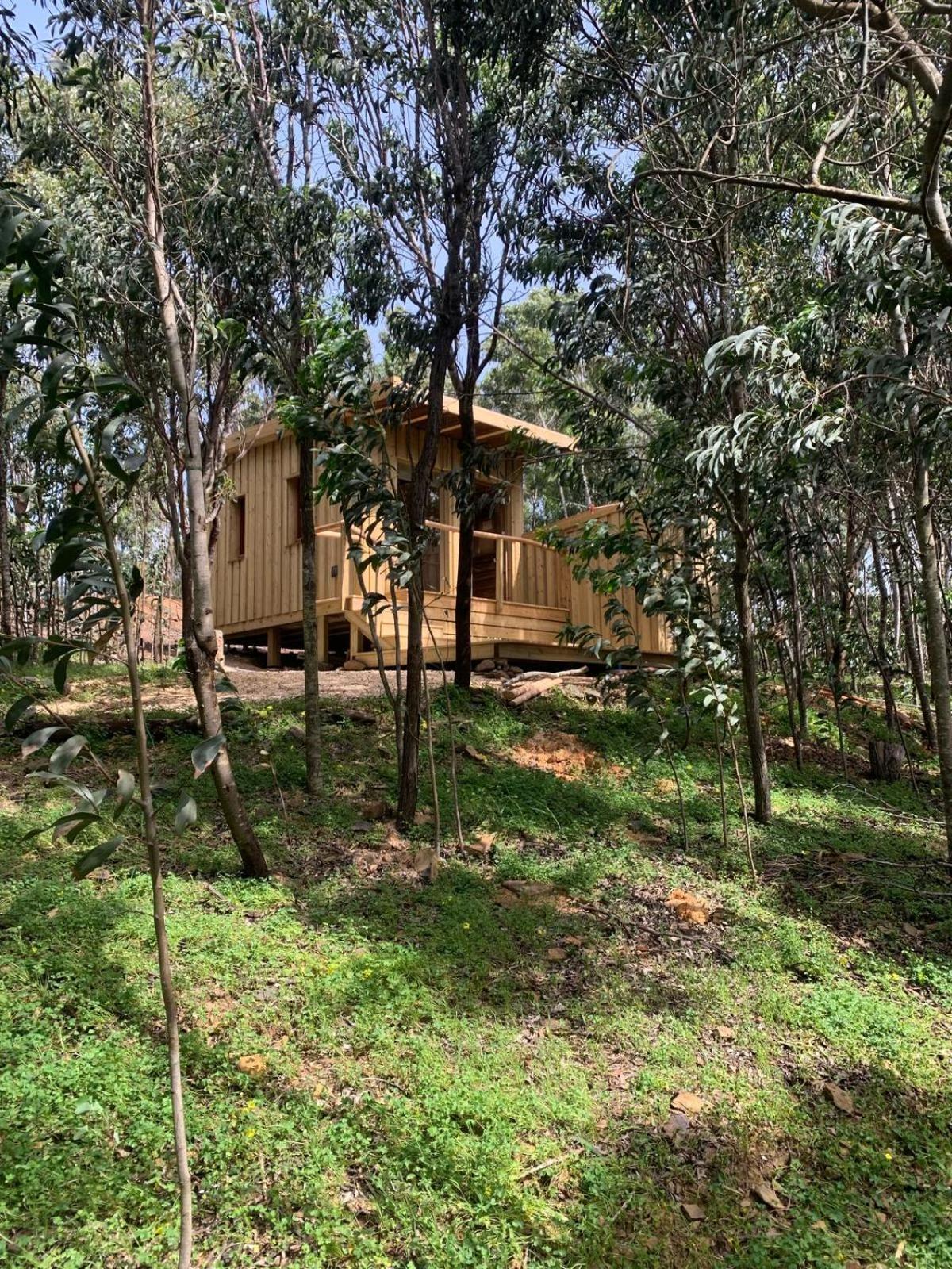 Soul Farm Algarve - Glamping & Farm Houses Aljezur Eksteriør bilde